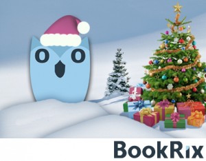 Eule_Weihnachten_3b-1